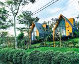 Chủ ngộp bán đất nghỉ dưỡng view hồ sát bên đồi chè tâm châu sổ sẵn giá cực ngộp