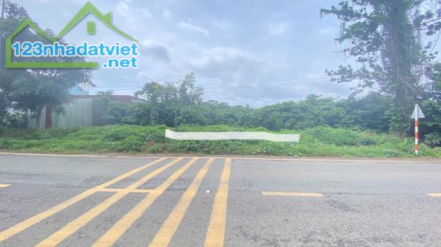 10m mặt tiền quốc lộ 27, xã liên hiệp cũ, lâm đồng - 1