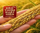 🔥 CHỈ 120K/M2– SỞ HỮU NGAY MẶT BẰNG VỊ TRÍ VÀNG KHU TRUNG SƠN! 🔥