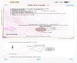 Cần Bán Lô Đất 1.7ty Mặt Tiền Đường Nguyễn Hữu Cảnh ( TL44B ) Thuộc Xã Phước Hải _ TP.HCM
