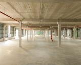 KHU CÔNG NGHIỆP TIÊN SƠN – BẮC NINH | NHÀ XƯỞNG 4.300M² CHO THUÊ, GIÁ 5 USD/M²