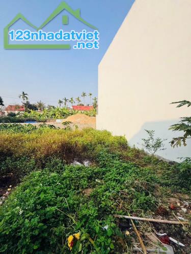 Bán đất Minh Đức - Nam Đồ Sơn - Hải Phòng - 1