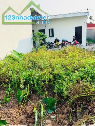 Bán đất Minh Đức - Nam Đồ Sơn - Hải Phòng - 2