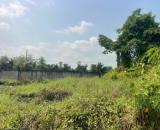 🔥 BÁN GẤP ĐẤT BÌNH MỸ – CỦ CHI | 110M² | HẺM NHỰA 6M | CHỈ 2,2 TỶ TL 🔥  📍 Vị trí đẹp: H